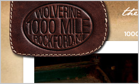 Wolverine 1000 Mile Photography