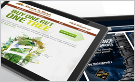 Interactive Email Campaigns